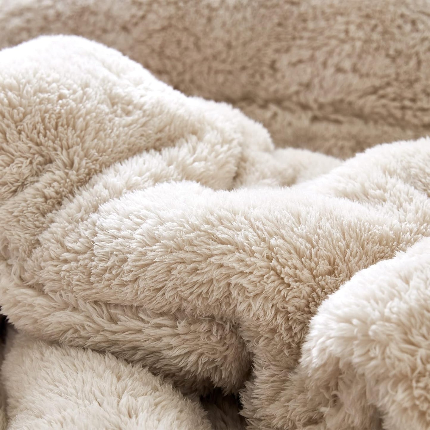 R.E.M.™ Extra Plush Comforter Set